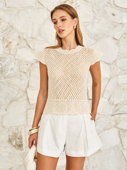Hollow Crochet Cap Sleeve Knit Top