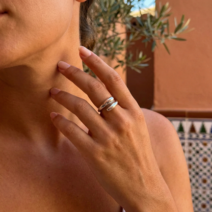 Anillo SERP